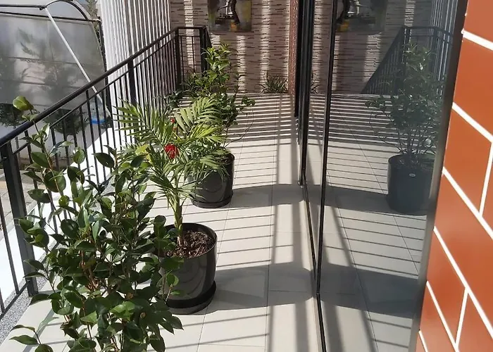 Отель Darda Kamez