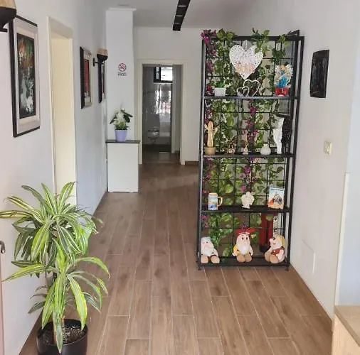 Darda Отель Kamez